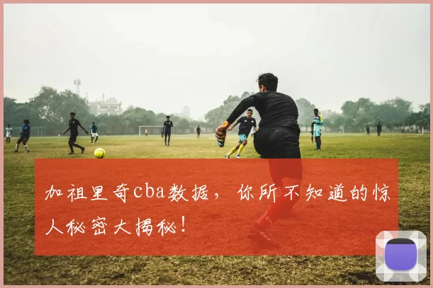 加祖里奇cba数据，你所不知道的惊人秘密大揭秘！