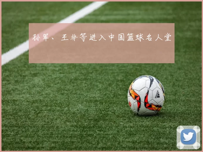 孙军、王非等进入中国篮球名人堂