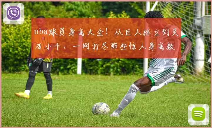 nba球员身高大全！从巨人林立到灵活小个，一网打尽那些惊人身高数据